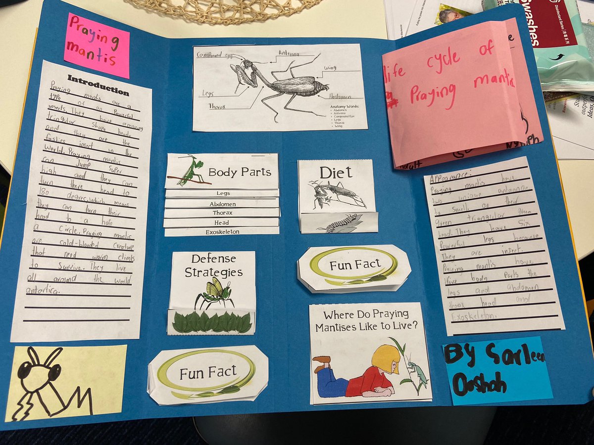 bchristos tweet media