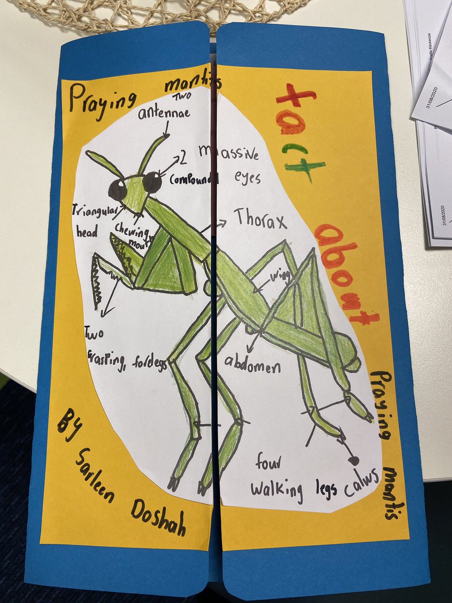 bchristos tweet media