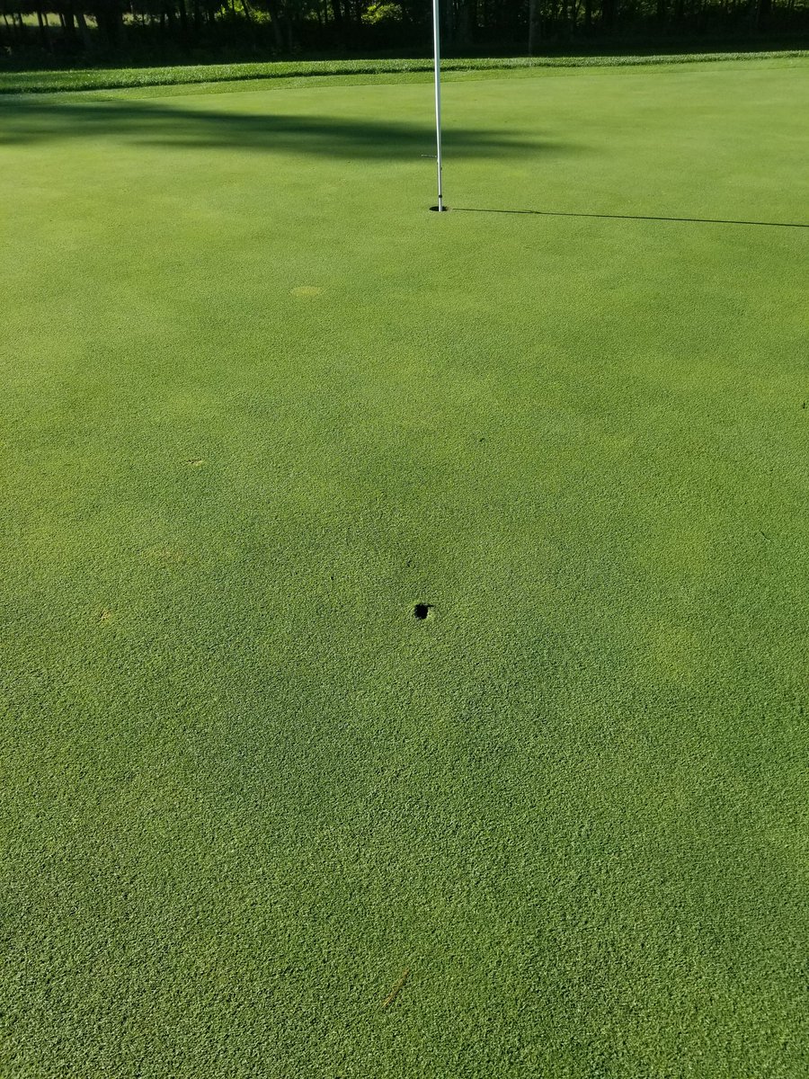 Bill Julie tweet media