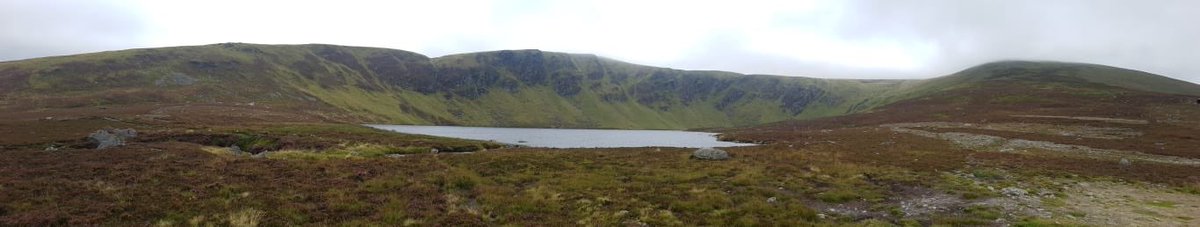 Lintrathen Cycles tweet media