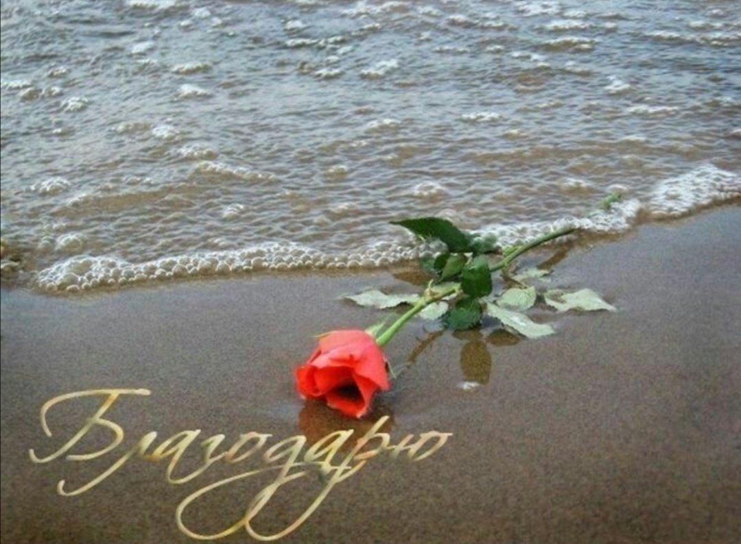 Спасибо море