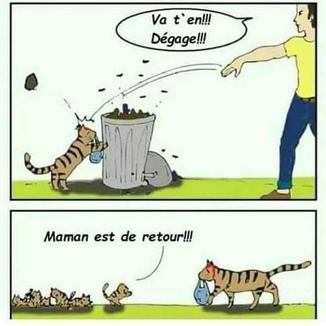 animal__passion's tweet photo. Ne faites pas de mal aux animaux , ils ont aussi une famille comme vous ! 🙏 https://t.co/FiE6EzmwAQ