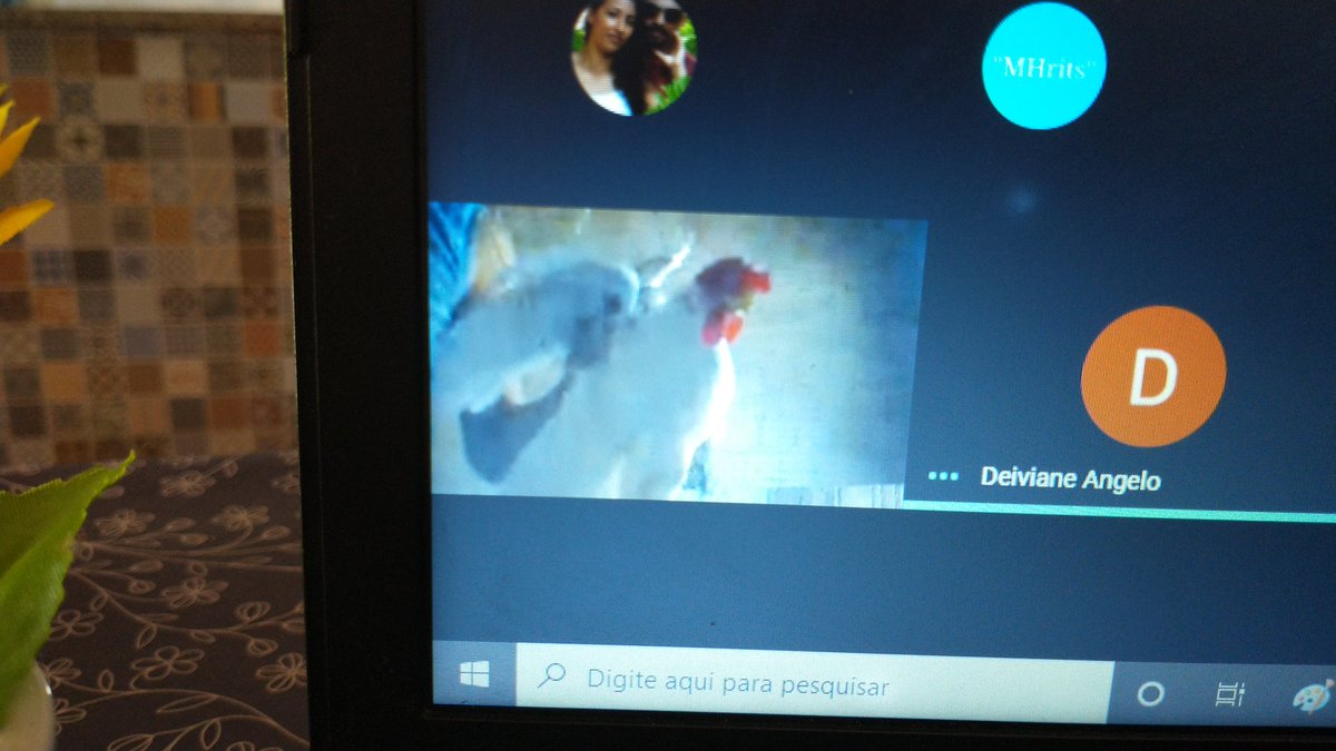 ohnogabs's tweet photo. Hoje eu fiz uma dinâmica com os meus alunos igual aquele jogo do Gugu, eu pedia uma coisa e eles tinham que me mostrar na câmera na aula na video conferência, eis que eu peço brincando uma galinha e o aluno me aparece assim:
KKKKK eu tô rindo até agora https://t.co/EkttG4giBp