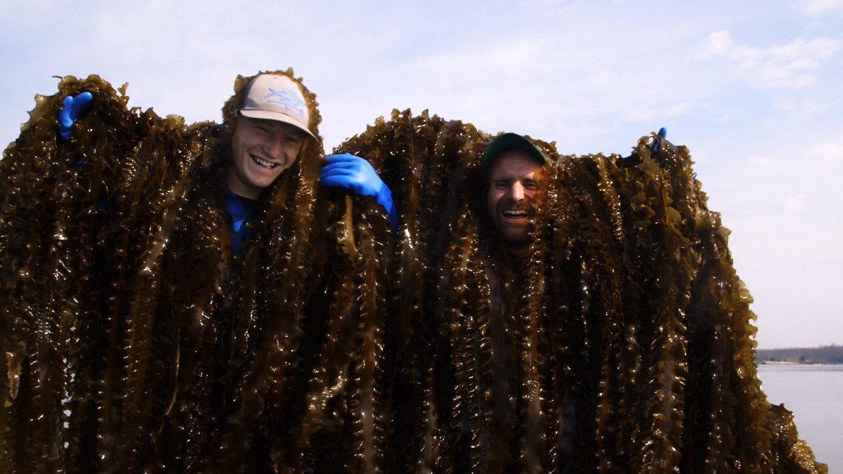 Did you know there are more than 10,000 edible plants in the ocean? Learn how <a href="/GreenWaveOrg/">GreenWave</a> is creating ocean farms in an effort to provide great food to communities on the new season of <a href="/ChickenSoupSoul/">ChickenSoup4theSoul</a>'s Hidden Heroes, steaming for free on <a href="/Crackle_TV/">Crackle</a>. bit.ly/2NzPLT2