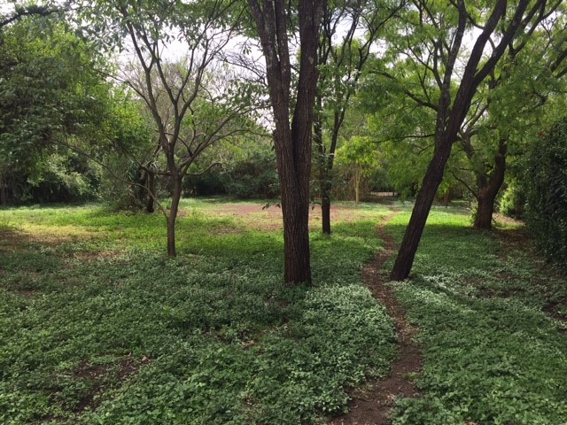 FopFocus's tweet photo. Residential Plot for Sale Mukoma Estate
Beautiful half-acre plot ready for development within the secure area of Mukoma Estate. Access to water and power. Close to Banda School and Brookhouse.
Ksh 32M . For more information email: info@bykazi.com https://t.co/ESm4OTFYxt