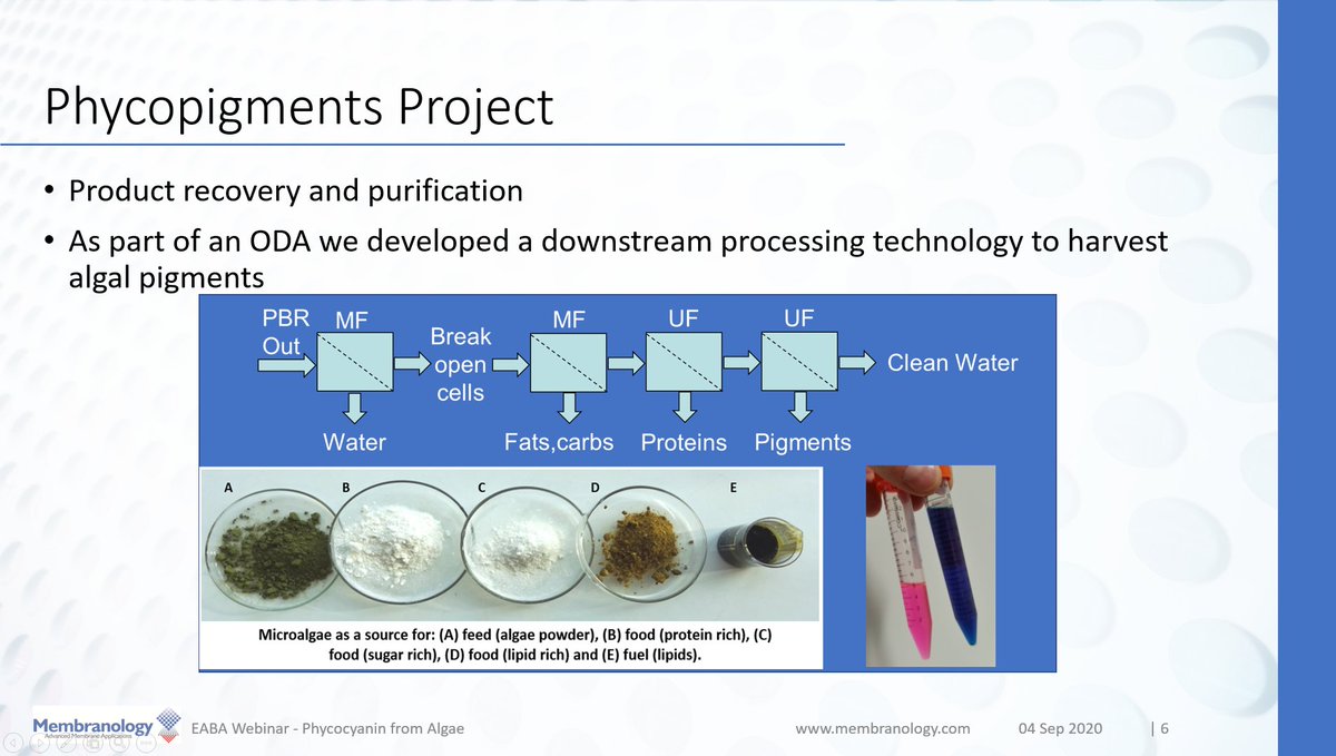Contributing in the <a href="/EABA_Algae/">EABA</a> webinar about #Phycocyanin.  Very interesting presentations and a wide ranging group