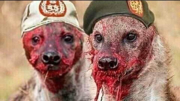 Flex_Darfur's tweet photo. @MShareefi https://t.co/fmcsP4pY5S