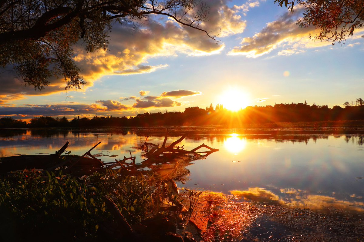 26_silver's tweet photo. The beautiful Mill pond. #hespeler #cbridge #ShareYourWeather @cityofcambridge https://t.co/yuHIcxVn3m