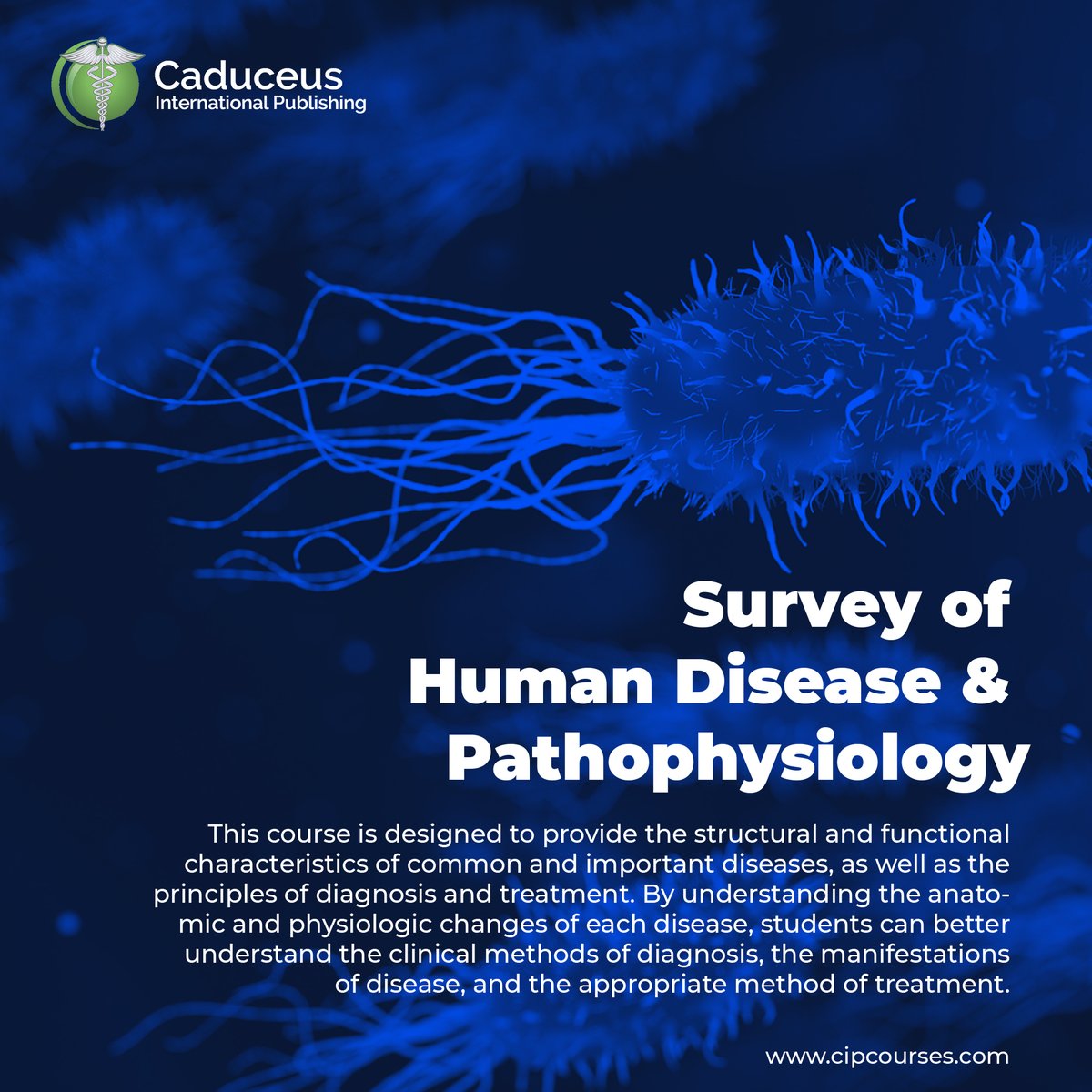 CIPcourses's tweet photo. Our Survey of Human Disease online course is accessible on all desktops, laptops, tablets, and mobile devices. 

Students are able to learn at their own pace, while instructors can monitor progress with real-time tracking tools. 🤩

https://t.co/bDYinpia4t https://t.co/9HOvWYd0fa