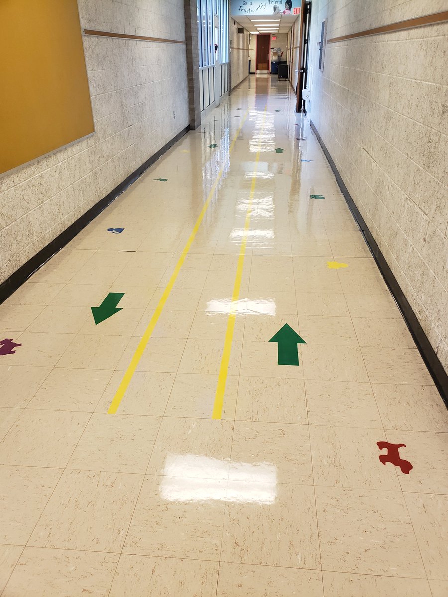 jmprimary's tweet photo. Hallways ready for keeping kids 6 feet apart. Love the animal prints! #shinebrightedison #jmproud https://t.co/9B6Z8eJv7n