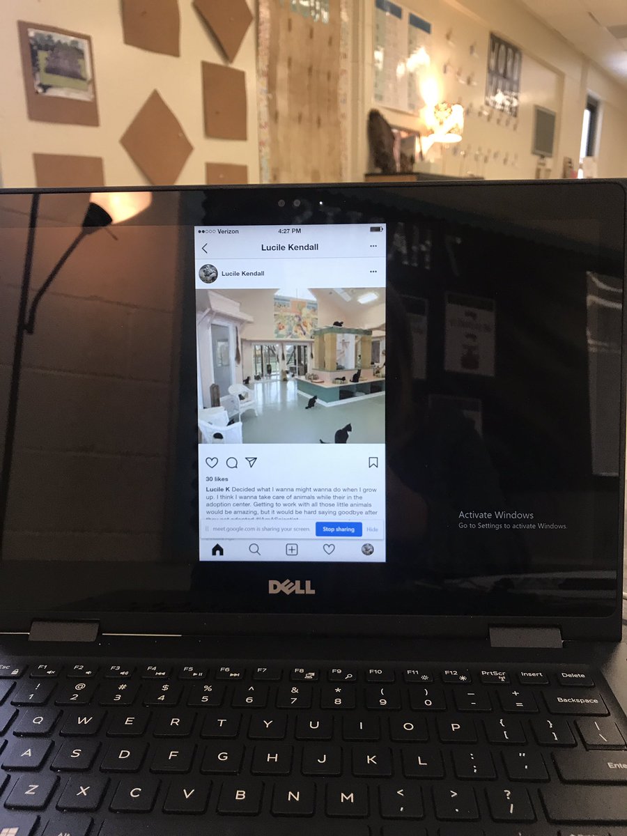 Emily Chestnut tweet media