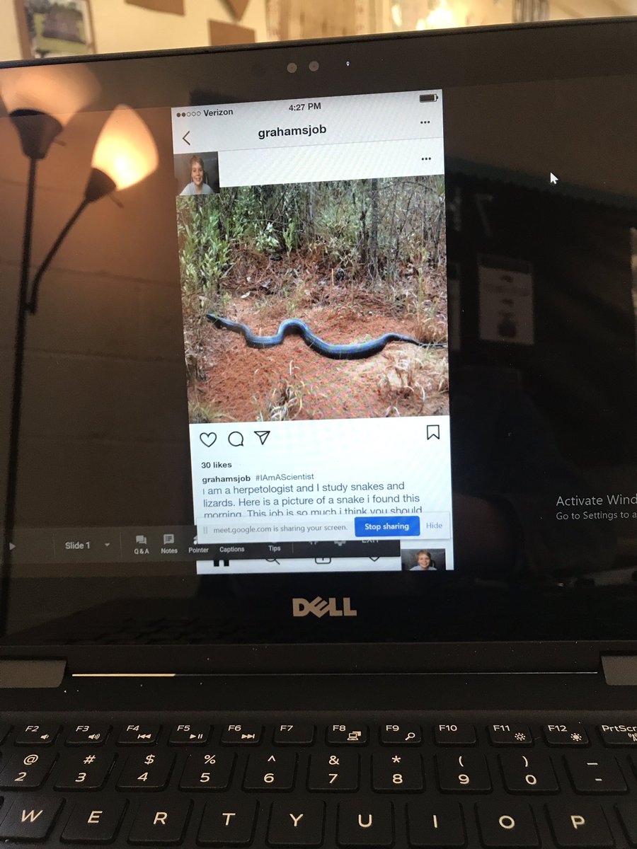 Emily Chestnut tweet media