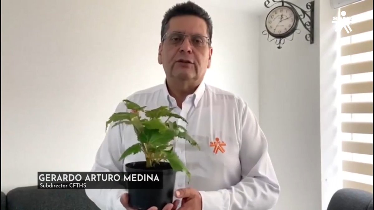 Sena Salud Distrito tweet media