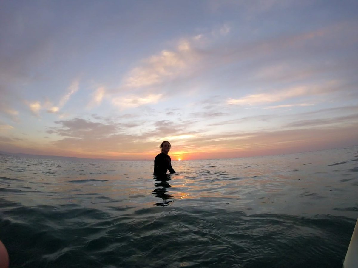 Surfing South Africa tweet media