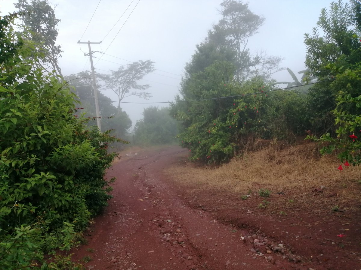 Cerberus_97's tweet photo. Rumbo al trabajo 👷‍♂️ https://t.co/4f7HHUEefh
