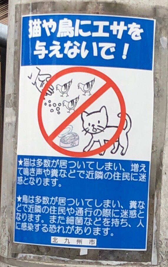 猫捕り.毒餌.里親詐欺 撲滅 情報共有NET tweet media