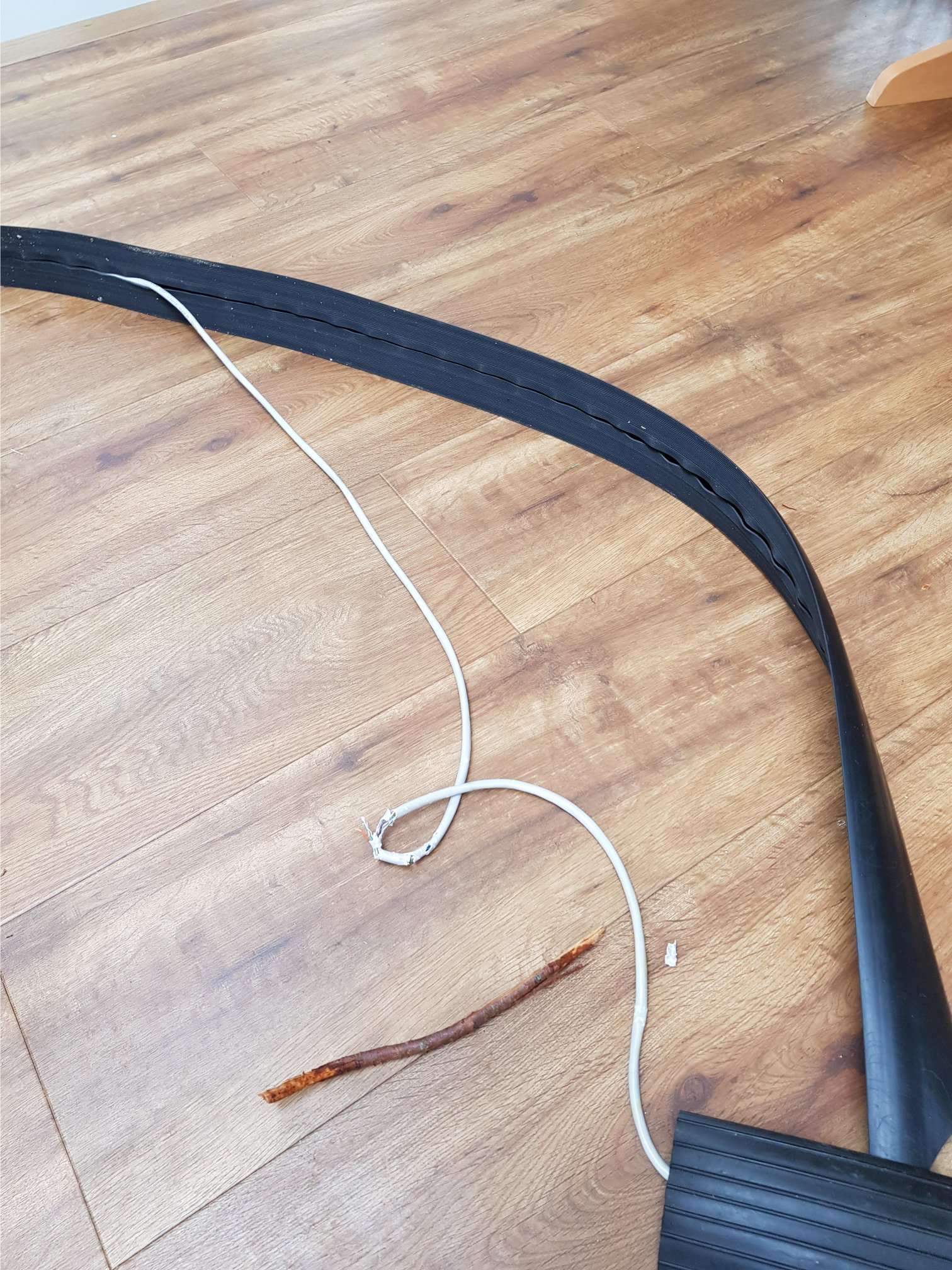 Iain McNeil on X: What do you do when the dog eats your Ethernet cable and  you cant get a replacement till Monday... I guess its time for a beer! (PS  notice