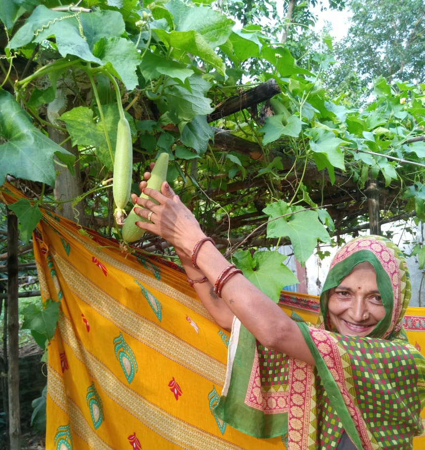 prakashpataniya's tweet photo. These are happy faces of communities who started #KitchenGardening with effort of #PanchayatLeaders during #PoshanPakhwada2020/#PoshanMaah2019 &amp; experienced the benefits out of it in ensuring #FoodSecurity,improving #NutritionStatus of families&amp; #IncreasedEnergyLevels.
@c3_india https://t.co/mHMDkap6Yp