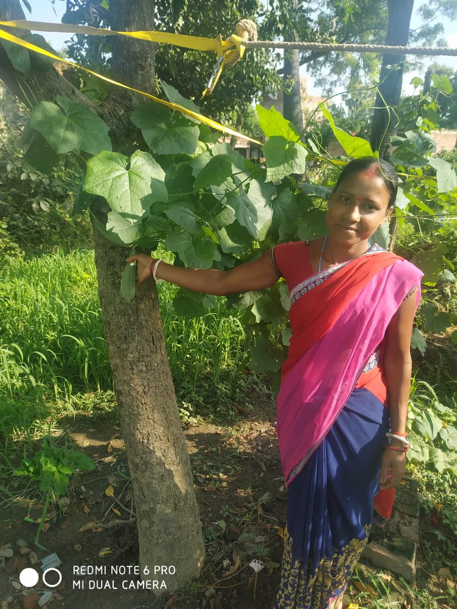 prakashpataniya's tweet photo. These are happy faces of communities who started #KitchenGardening with effort of #PanchayatLeaders during #PoshanPakhwada2020/#PoshanMaah2019 &amp; experienced the benefits out of it in ensuring #FoodSecurity,improving #NutritionStatus of families&amp; #IncreasedEnergyLevels.
@c3_india https://t.co/mHMDkap6Yp