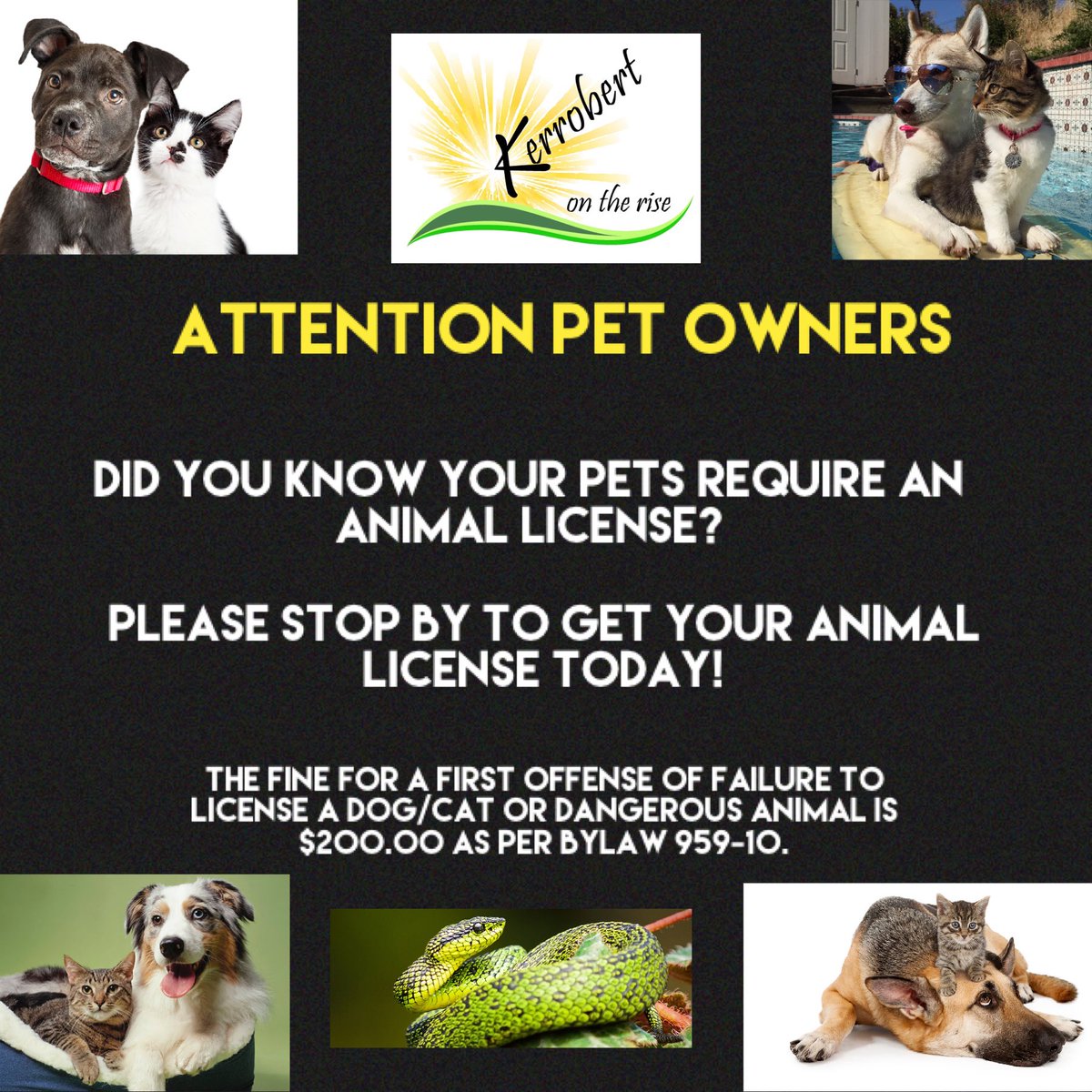 TownofKerrobert's tweet photo. Don’t forget about your pet license! https://t.co/lDSIZ6rJpi