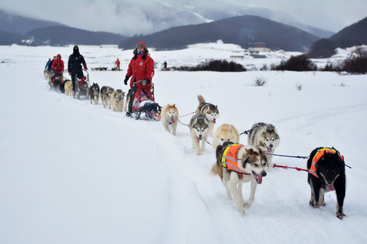 TurismoTDF's tweet photo. Una travesía en trineos tirados por perros por los valles nevados. La naturaleza y la aventura se encuentran cada día en el Fin del Mundo #FanDeLaNieve ❄️🏔️#SledDog #Invierno2020 #TierraDelFuego #FinDelMundo https://t.co/QidPDISrQn