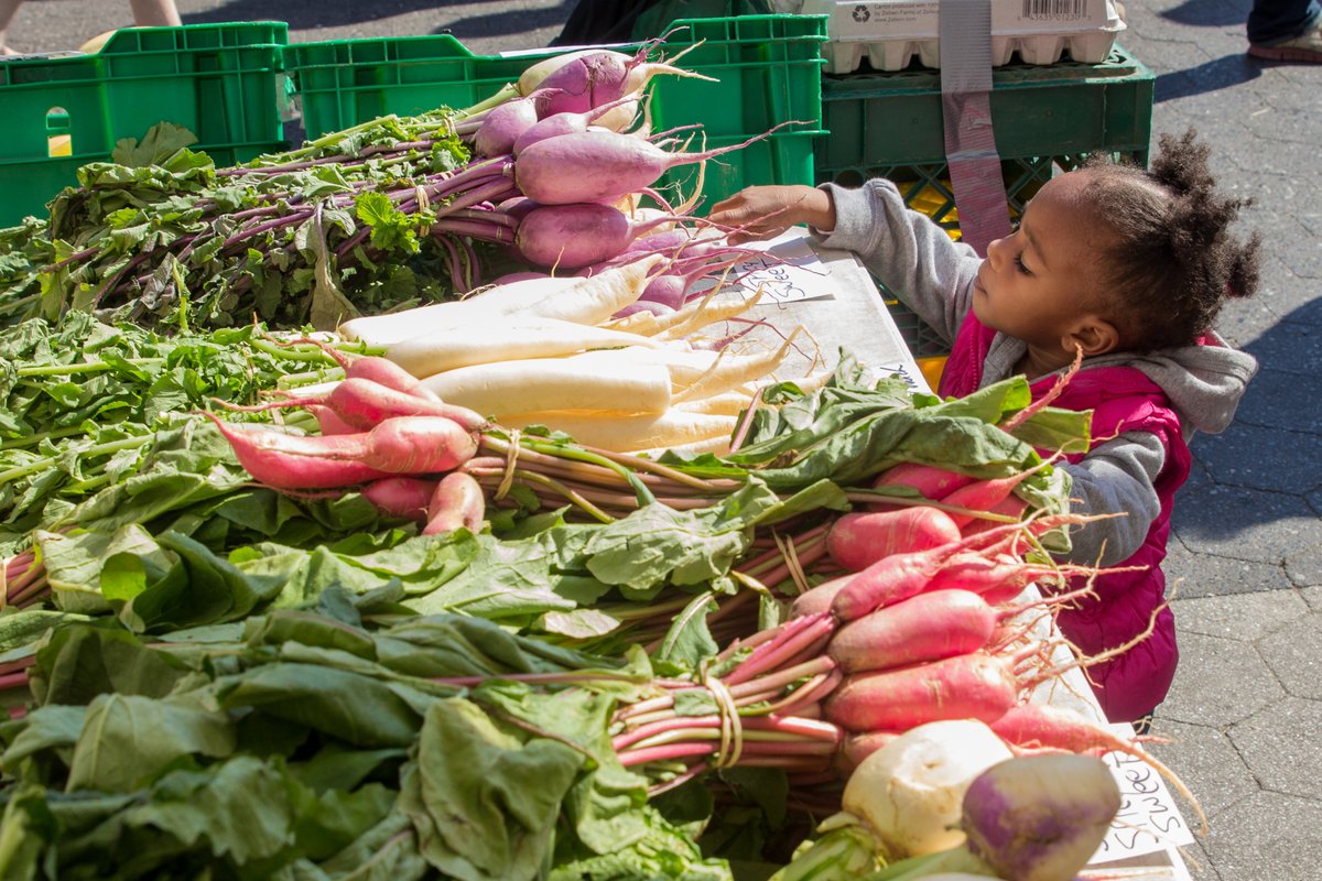 hczorg's tweet photo. In one week, our Healthy Harlem and Community Pride teams will be giving out fresh produce throughout Harlem! We can't wait to see you all there! π½π₯π#HarlemCommunity #CommunityEngagement #NYCFoodDistribution https://t.co/l0BxhKQhc5