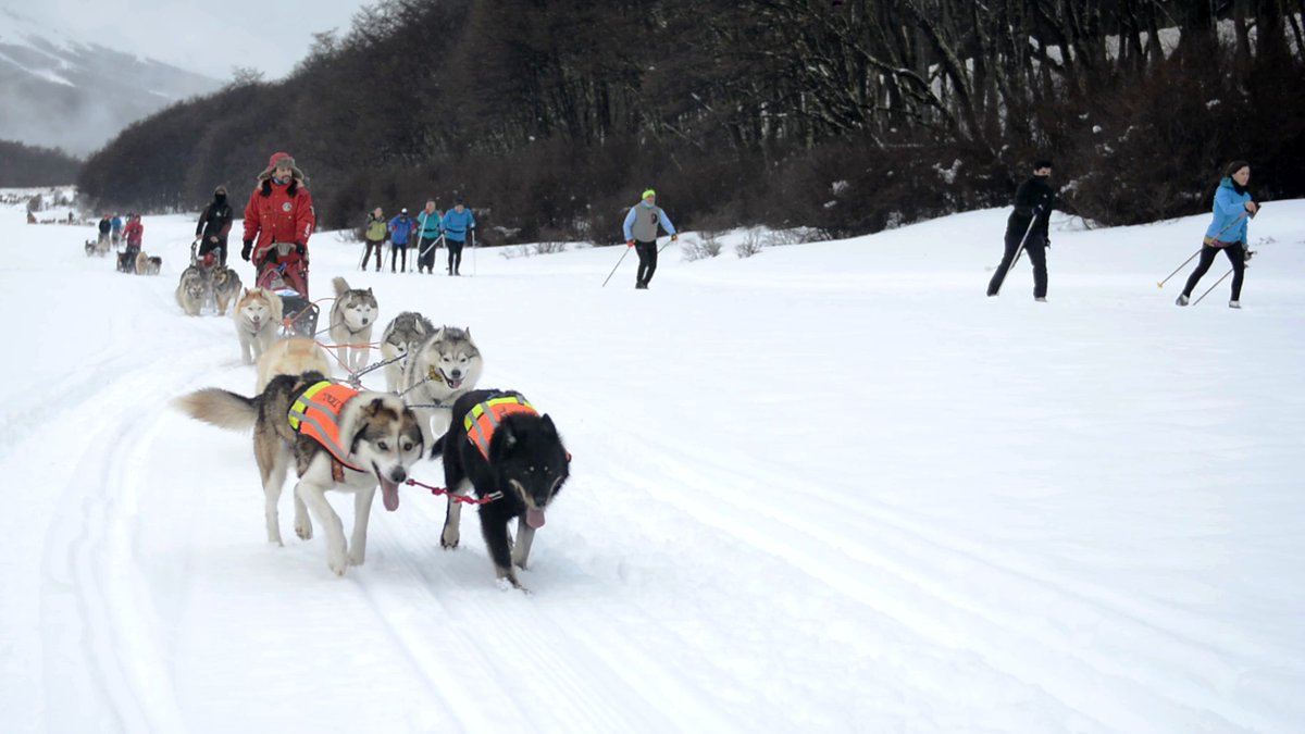 TurismoTDF's tweet photo. Una travesía en trineos tirados por perros por los valles nevados. La naturaleza y la aventura se encuentran cada día en el Fin del Mundo #FanDeLaNieve ❄️🏔️#SledDog #Invierno2020 #TierraDelFuego #FinDelMundo https://t.co/QidPDISrQn