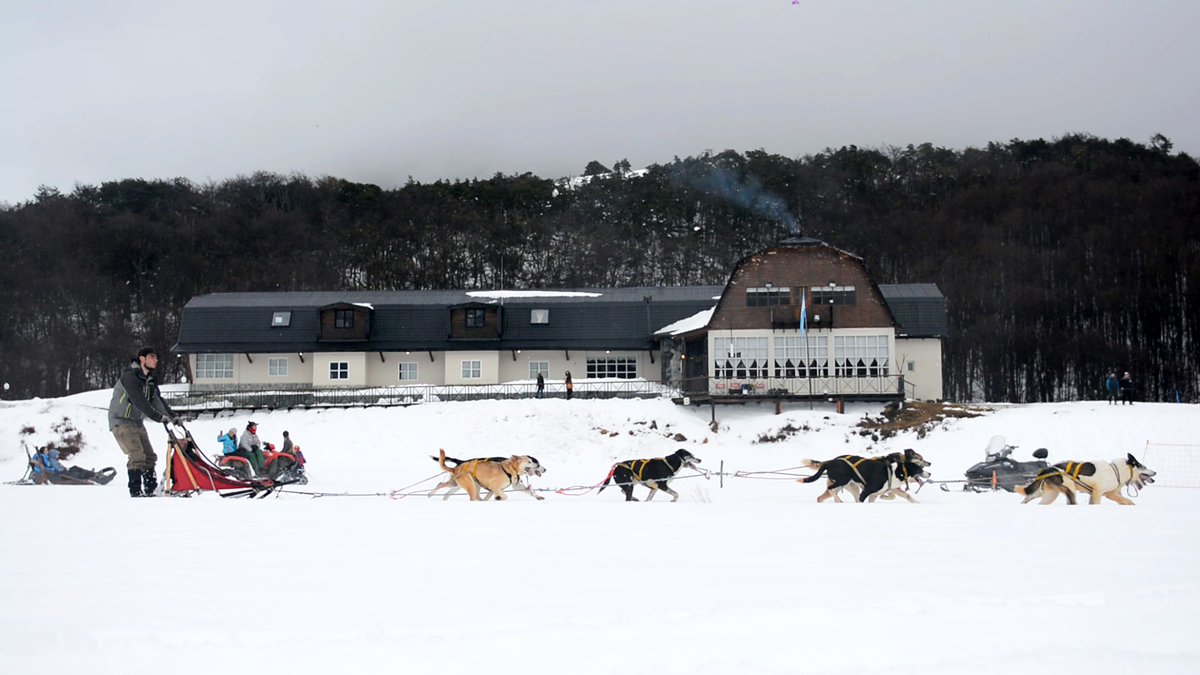 TurismoTDF's tweet photo. Una travesía en trineos tirados por perros por los valles nevados. La naturaleza y la aventura se encuentran cada día en el Fin del Mundo #FanDeLaNieve ❄️🏔️#SledDog #Invierno2020 #TierraDelFuego #FinDelMundo https://t.co/QidPDISrQn
