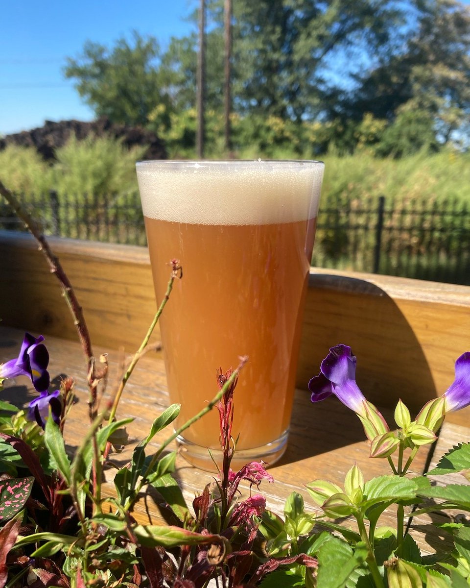 On tap today! 

The Fruit Man (6.6% ABV) - A fruity, sophisticated Guava IPA single hopped with Michigan Cashmere hops and fermented with massive amounts of guava. 🍻