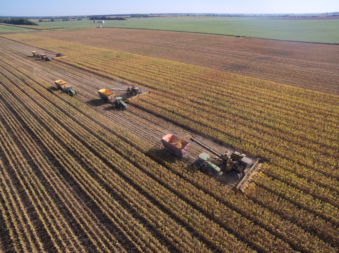 Seed corn harvest is officially underway for our InVISION brand! 🌽🚜 <a href="/InVISION_HiSOY/">FSInVISION_FSHiSOY</a>