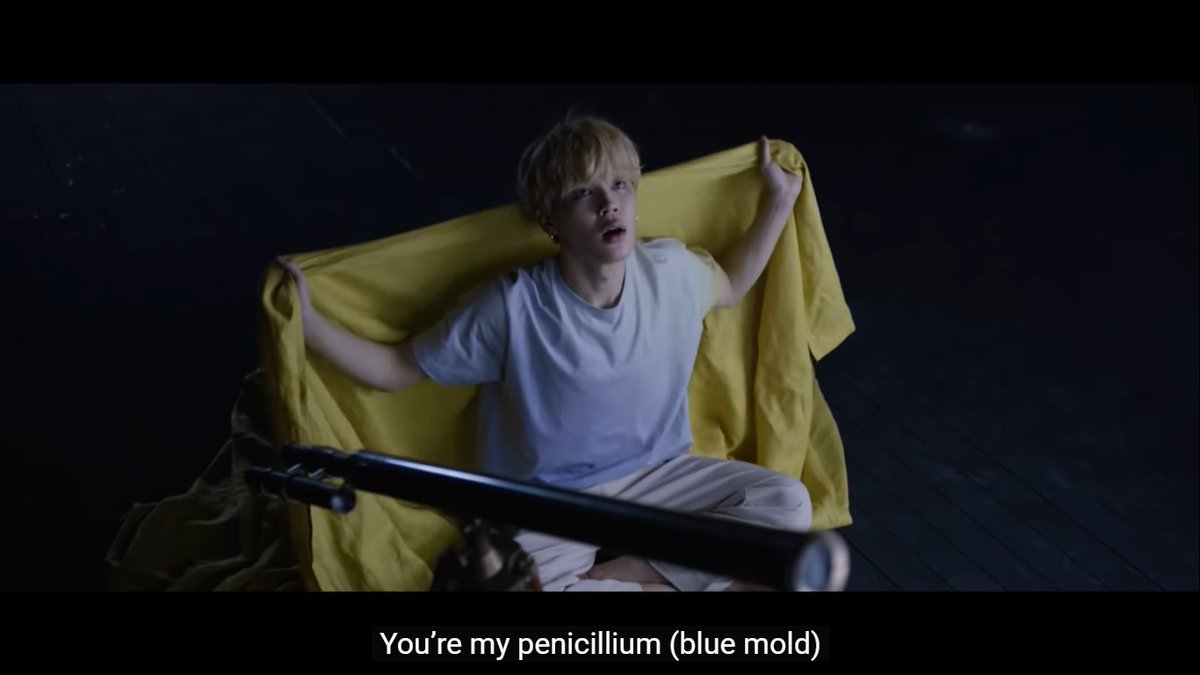 Hello fellow  #BTSARMY  ! In celebration of  #3YearsWithSerendipity, I’m here to offer a  @BTS_twt  #BTS   and  #MedTwitter crossover thread in relation to blue mold/penicillium found in the lyrics. Hopefully this will be educational as well in raising awareness on  #AntibioticResistance!