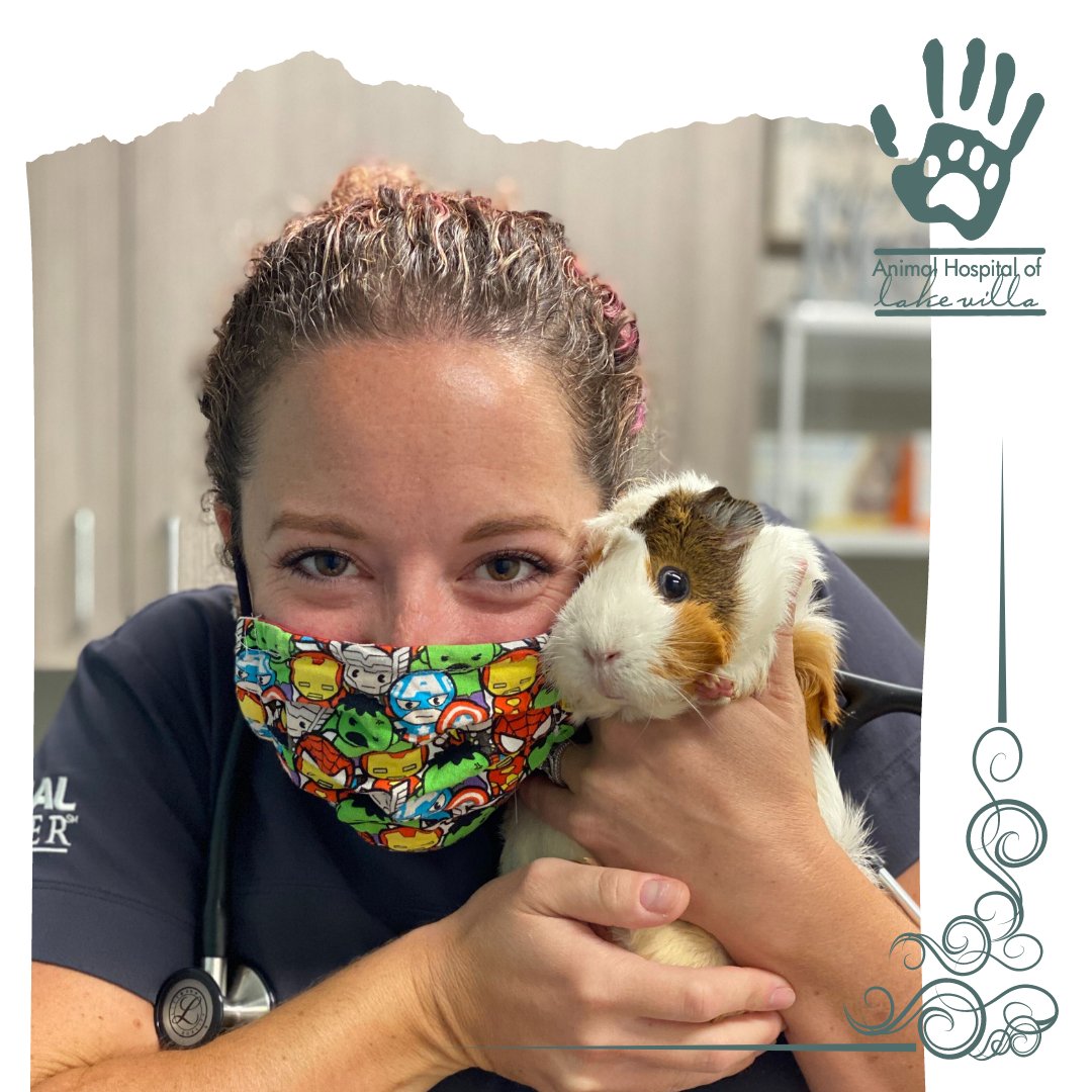 Animal Hospital of Lake Villa (@lakevillavet) / Twitter Animal Hospital of Lake Villa (@lakevillavet) / Twitter