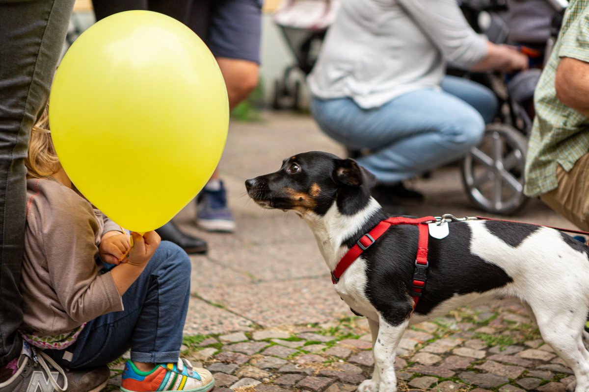 MajaGeburtshaus's tweet photo. Eindrücke Teil 2 Kiezkundgebung am 03.09.2020 #MAJAbleibt #wirbleibenalle für ein selbstbestimmtes Gebären und Leben in unserem Kiez! #arnimplatz #Berlin https://t.co/YCS5GgvfZu