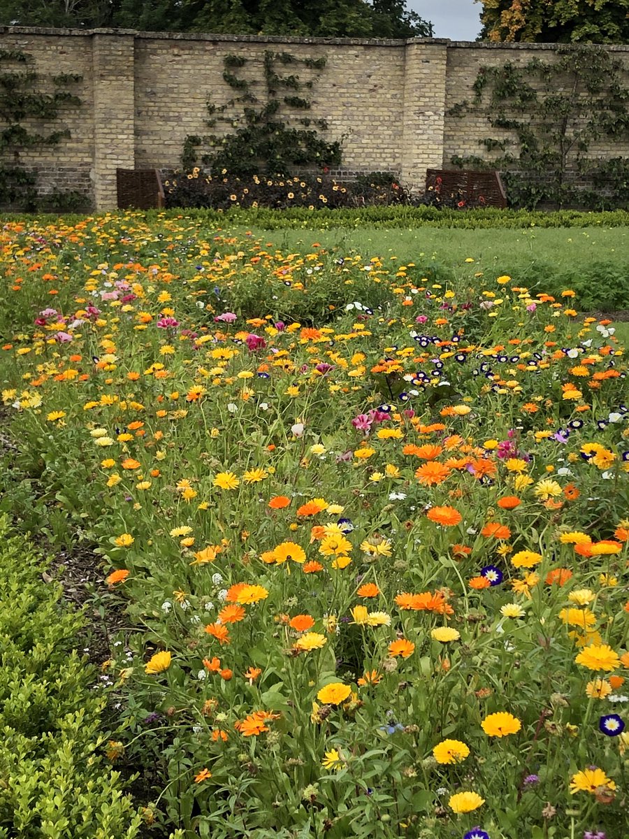 Had a great visit to Dublin’s Phoenix Park today with ⁦⁦<a href="/PhoenixPark/">Phoenix Park</a>⁩ bikes and the highlight was the beautiful Victorian walled garden ⁦@phoenixparkopw #comeheretomedublin