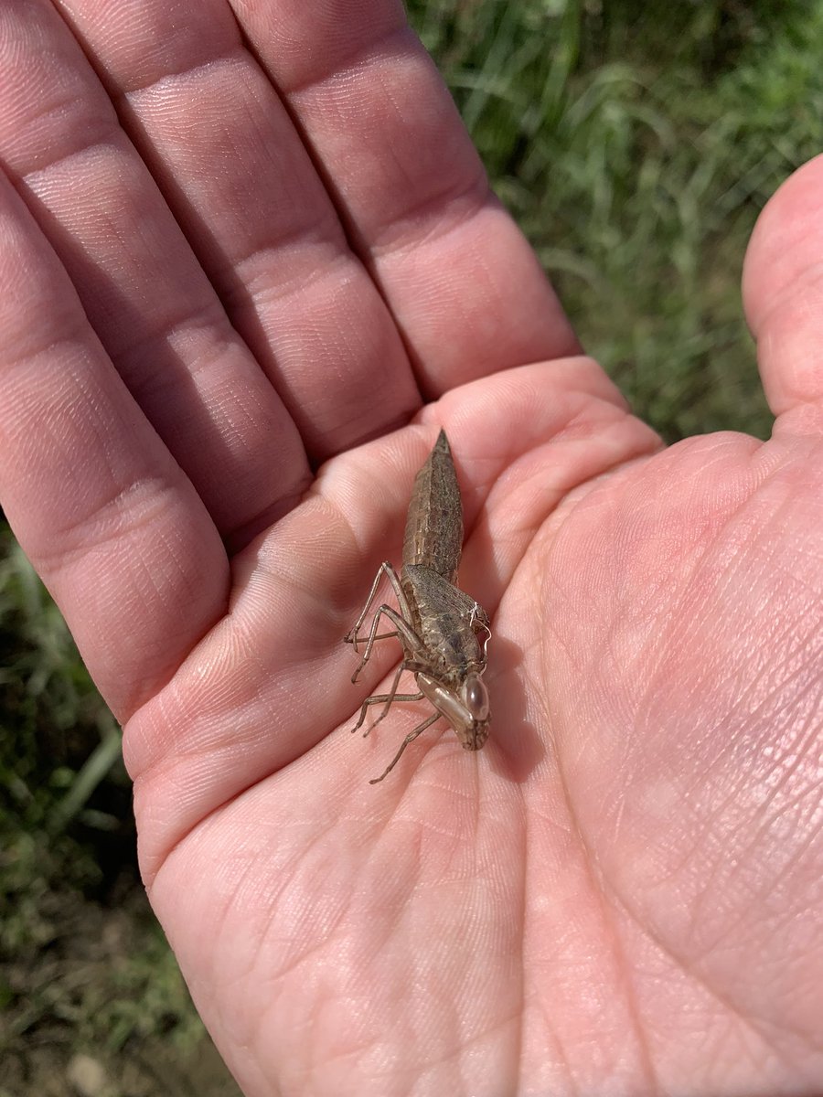 Jureysclassroom's tweet photo. Today was our first APES ecotour. There is nothing I enjoy more than getting to take my students outside to experience nature. https://t.co/JxeXHeOv4C