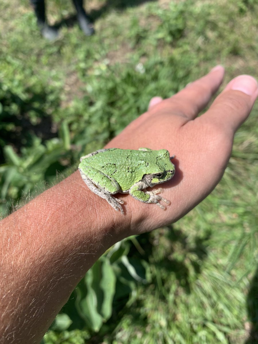 Jureysclassroom's tweet photo. Today was our first APES ecotour. There is nothing I enjoy more than getting to take my students outside to experience nature. https://t.co/JxeXHeOv4C