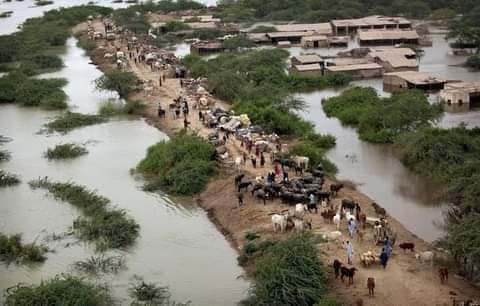 Индия китай реки. Синдх Пакистан. Пакистан река инд. Наводнение в Пакистане 2010.