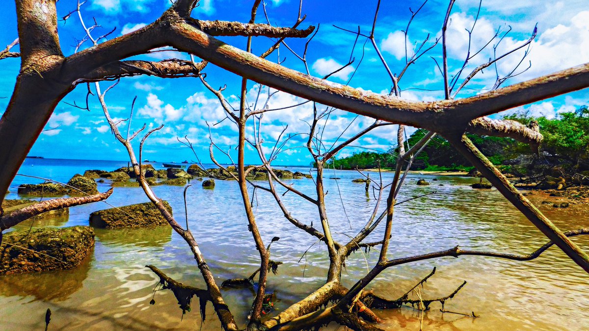 hammerclawmusic's tweet photo. Beach 🏖 near Petrotrin

#freelance #lumibee #snapseed #drytrees #processed #photoshopmobile #skyline #blue #horizon #water #deserted #ruins #distant #Rocky #edits #tree #chill #nikon #clouds #trinidadandtobago #desert #Carribbeanislands #exotic #freelancing #mysterious #travel https://t.co/f8sL3KxthC