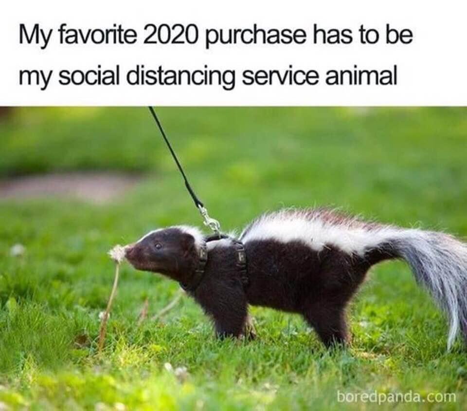 JimOverhuel's tweet photo. For reals. https://t.co/FN3Fwu6HcZ