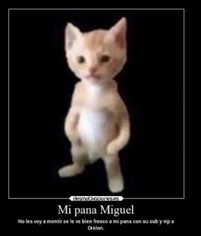Yo50871486's tweet photo. @BrawlStarsES Bibi: brawleas bien 
Todos: que hiso el delicioso dice https://t.co/H688v49xPk