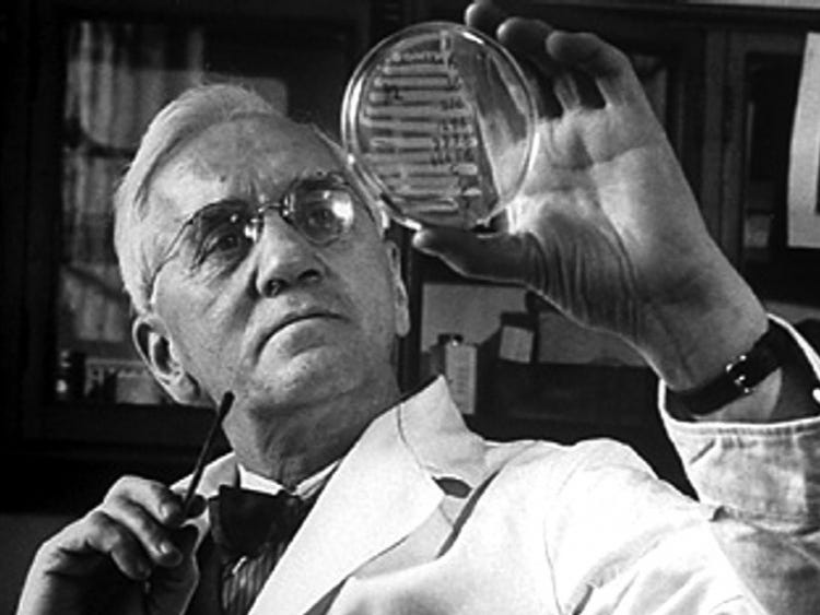 Returning from holiday on September 3, 1928, Fleming began to sort through petri dishes containing colonies of Staphylococcus, bacteria that cause boils, sore throats and abscesses. He noticed something unusual on one dish.