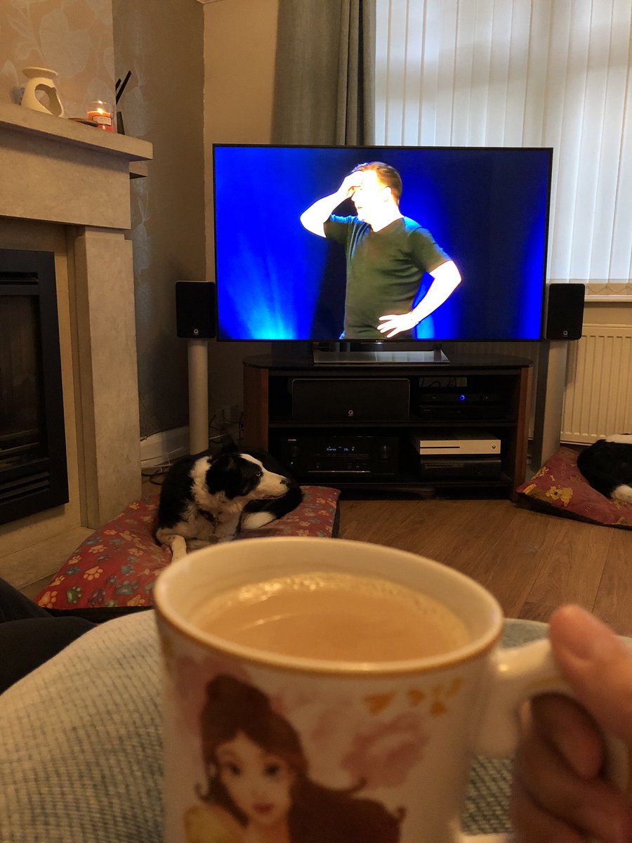 purplecath3105's tweet photo. It’s a @rickygervais marathon kind of a night 😍 animals, flanimals, politics and fame one after the other 😁 https://t.co/75HE3gkOR8