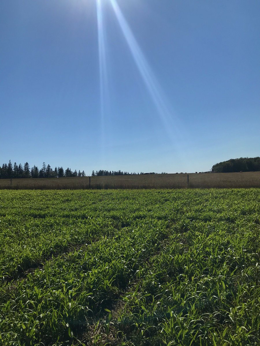 emacdonaldag's tweet image. 4 years ago this week I switched from a full time desk job doing GIS to work in Agriculture. Best decision I ever made! #shouldhavedoneitsooner #lotstolearn #heresto40more