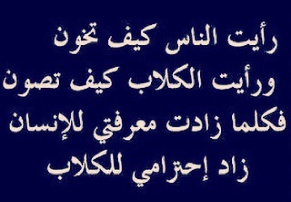 Sanaa Ahmed Ghanem (@sanaaghanem) on Twitter photo 