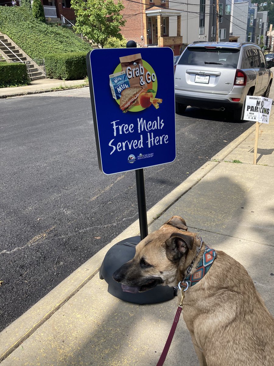 Travis didn’t find any food today, so I think he tried to cheat the system. #realstreetfood