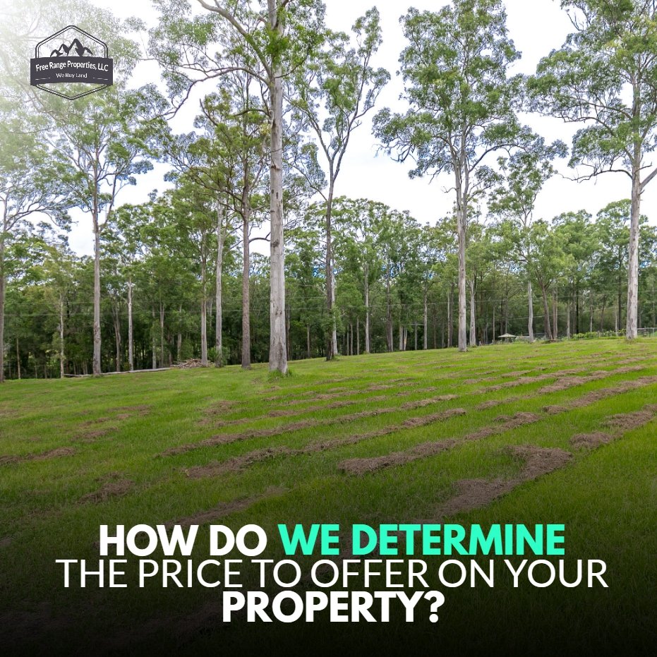 FreeRangeProp's tweet image. We have to do a little research first so we can offer you our best offer. We have to look at the location of the property so we have to check out the current condition of the property.
------
Learn more: freerangeproperties.net
.
#freerangeproperties #land #realestate #nature