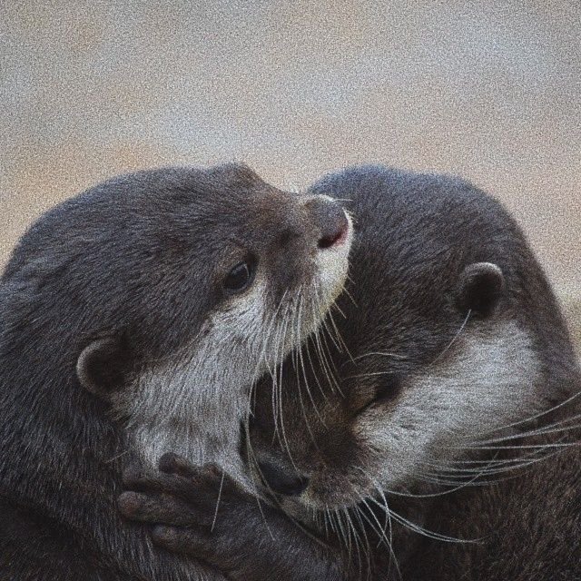 forehead kiss