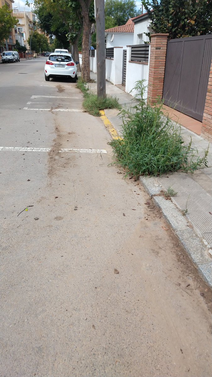 CoderchGemma's tweet photo. @ajcardedeu Bona tarda, als veïns de l'Eduard Corbella cantonada carrer Aragó, també ens agradaria tenir arbres i no males herbes que no deixen passar ni per la vorera.  No tenim eines per tallar-les. Aviam si a la propera compra d'arbres penseu amb nosaltres. Gràcies. https://t.co/ZGHqkrjktC