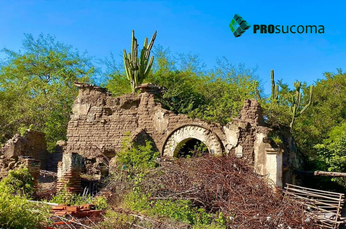 PROSUCOMA's tweet photo. #LaImagenDelDía
✴ Sin lugar a dudas, en cada uno de los 570 Municipios que conforman nuestra Entidad, existen lugares donde hay la posibilidad del Rescate Tangible del Patrimonio. Por Oaxaca y su cultura.
#MagiaCulturaYTradición 👇🏻
Somos #PROsucoma 👷🏻♀️👷🏼♂️
@INAHmx @Conavi_mx https://t.co/OBrBTIImcJ