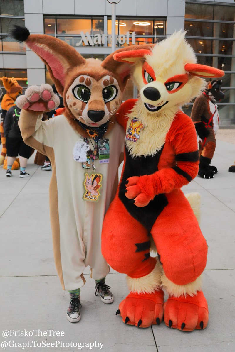 FriskoTheTree's tweet photo. A wild arcanine appeared! It was so cute, I just had to try to catch it! Thank you for the pics @dogbutwithfire π₯
πΈ GraphToSeePhotography on IG
#FurCon #FurCon2020 #FurtherConfusion #Frisko #FriskoTheTree #FursuitPlz #FursuitsPlz #GraphToSeePhotography #FursuitFriday #Fursuit https://t.co/q6vBJl8Fza